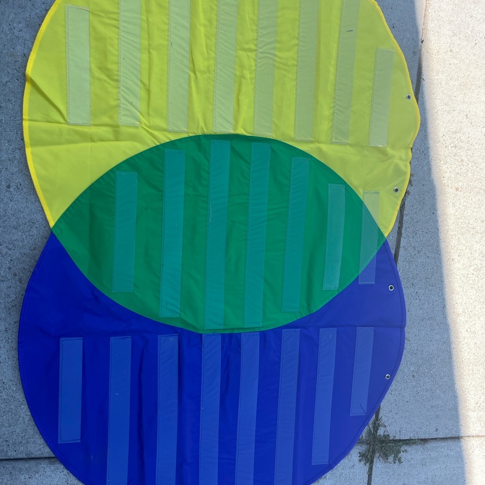 Venn Diagram pocket chart
